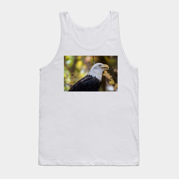 Bald Eagle Tank Top by gdb2